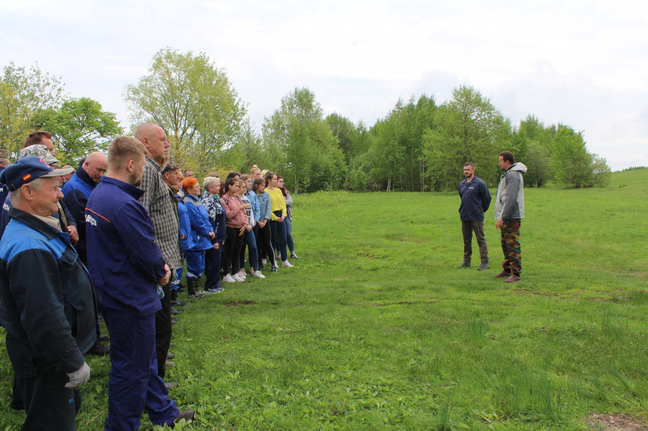 Чистые берега России в Костромской области