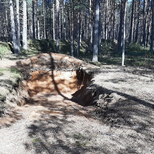 Акция "Вода России" в Новгородской области