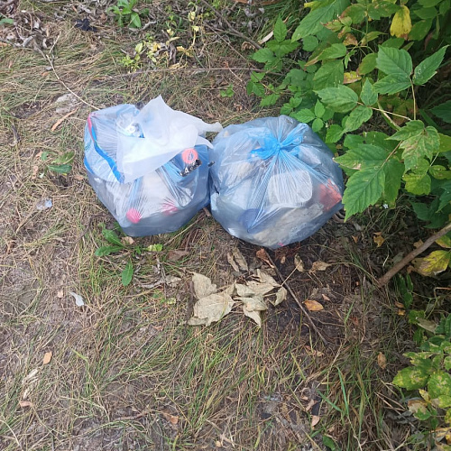 Новоалтайск, Лапа, 06.08.2022