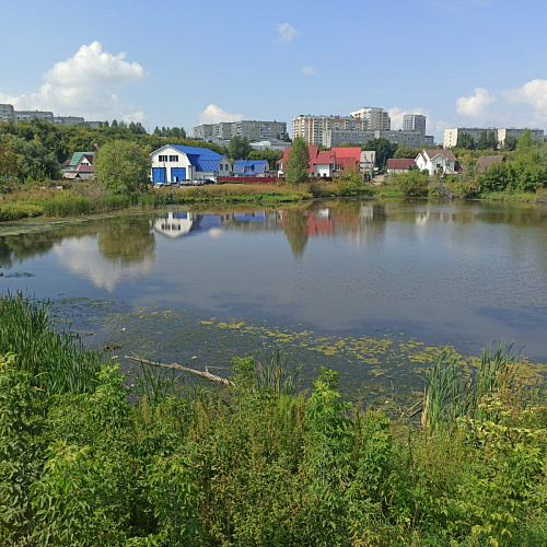 Барнаул, Озеро на улице Озёрной Ленинского района, 21.08.2022