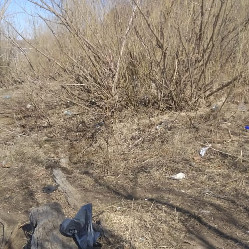 Северск, река Томь, 29.04.2023