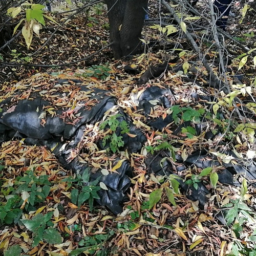 Иркутск, Ангара, 30.09.2023