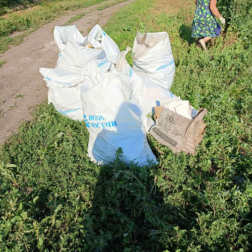 село Покровское, пруд, 29.07.2023