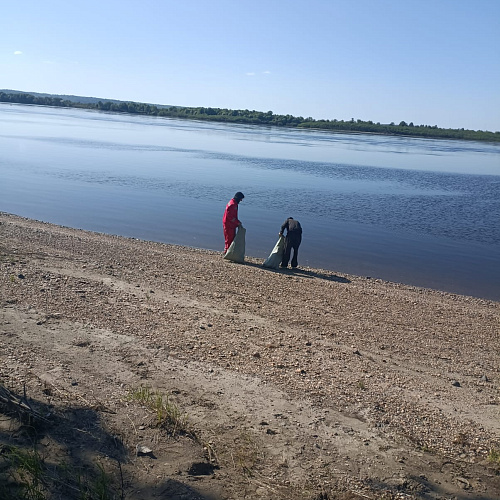 с.Введеновка  Серышевский муниципальный округ, река Зея, 30.05.2024