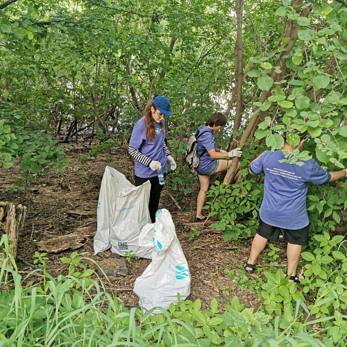 г. Старая Русса, река Полисть, 07.06.2024