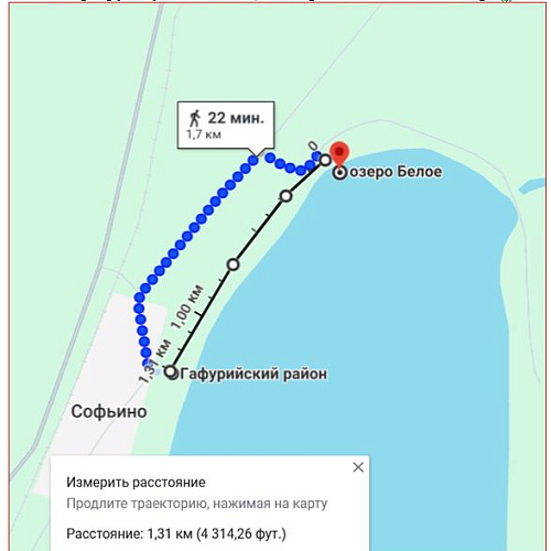 д. Софьино, Озеро Белое, 06.06.2024