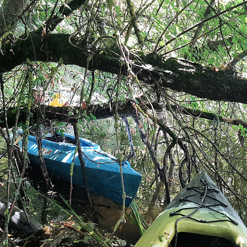 Курск, река Сейм, 17.06.2024