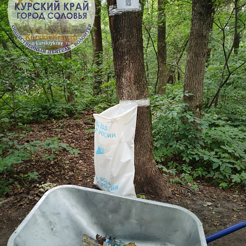 Курск, река Сейм, 16.06.2024