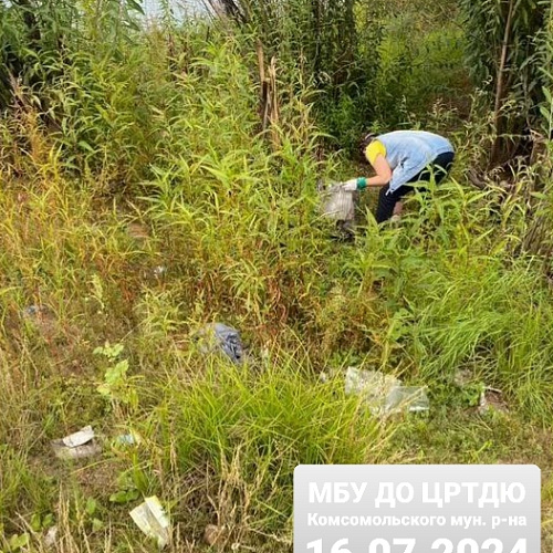 район Комсомольский, с.п. Новый Мир, Левый берег р. Амур, протока Кривая, 16.07.2024