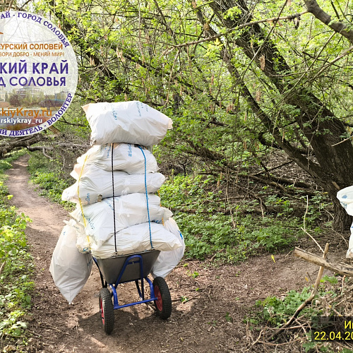 г. Курск, река Сейм, 22.04.2025