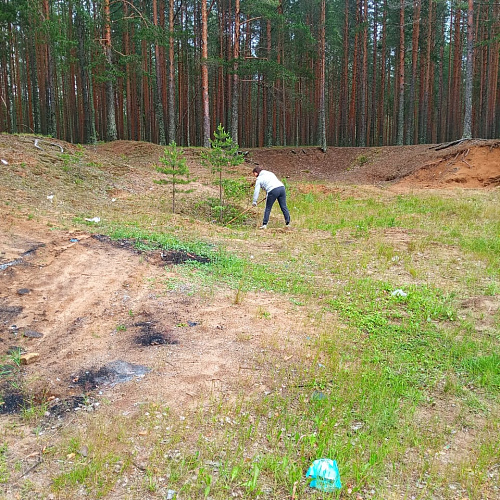 село Песь, озеро Емецкое, 10.07.2025