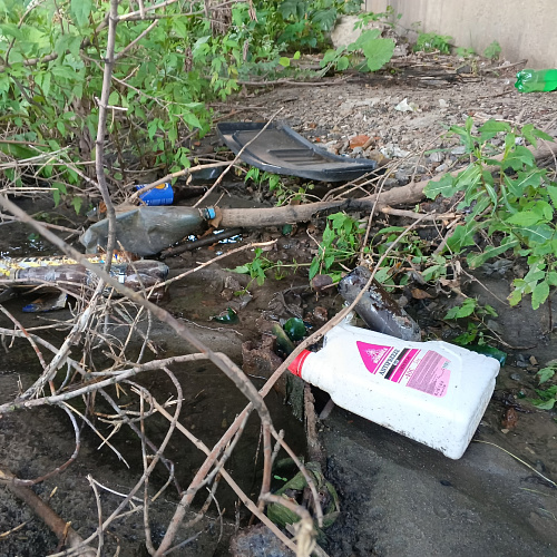 г Курск, река Сейм, 19.07.2025