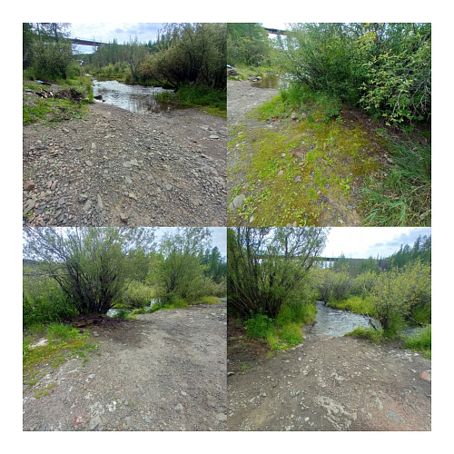 Нерюнгри, р. Аммунакта, 07.08.2025