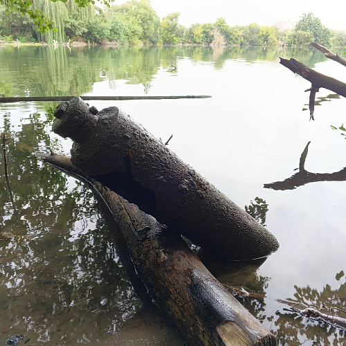 г Курск, Стрелецкое озеро, 09.08.2025