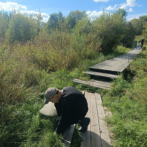 д. Гора Харовского района , Река Пундуга , 19.09.2025