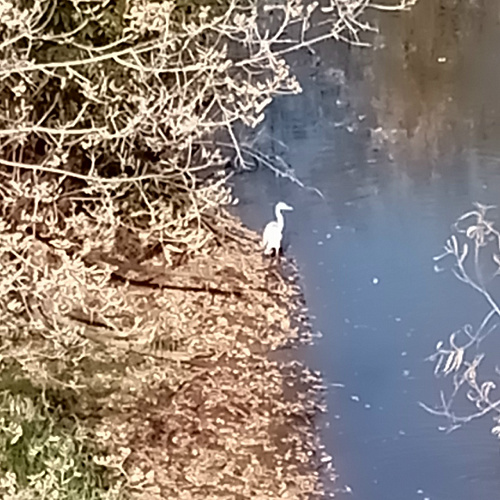 Краснокамск , река Пальта, 04.10.2025