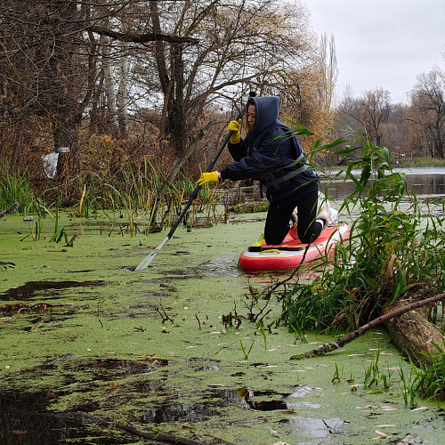 Курск, река Сейм, 02.11.2025