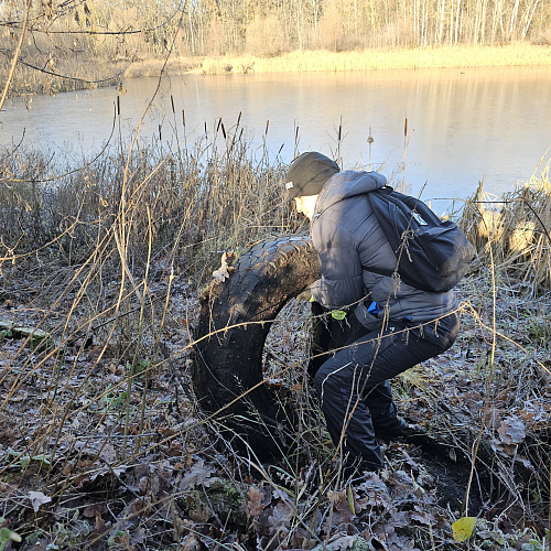 Курск, озеро Волоконовское, 06.12.2025