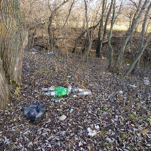 Большое Нагаткино , река Бирюч, 14.11.2025