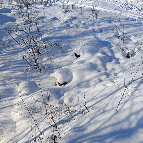 Курск, река Сейм, 06.01.2026