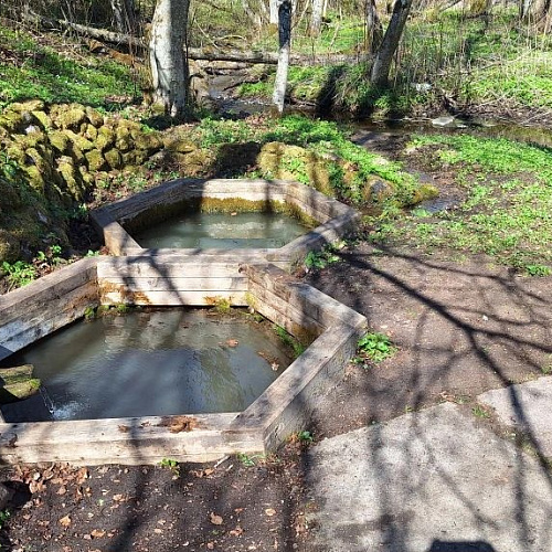 Марёво, родник в парке Хлебалово, 24.04.2026