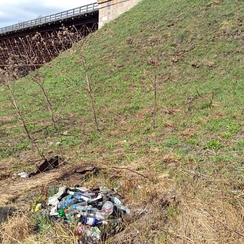 село Медведь, река Мшага, 05.06.2026
