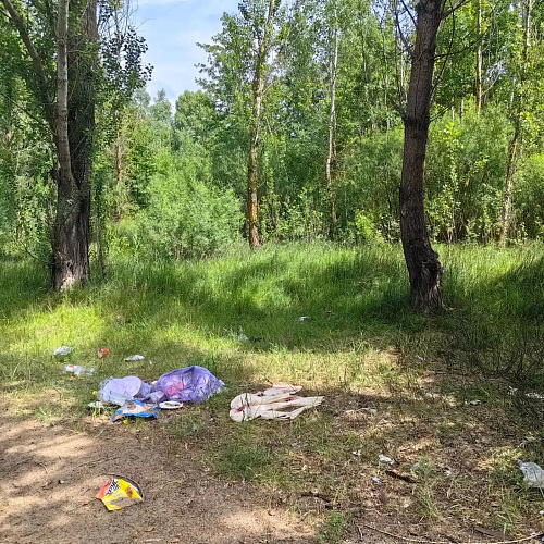 город Острогожск, Река Тихая Сосна, 19.06.2026