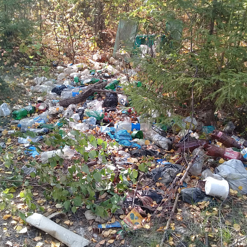 Марафон "Чистые Берега" в Кировской области